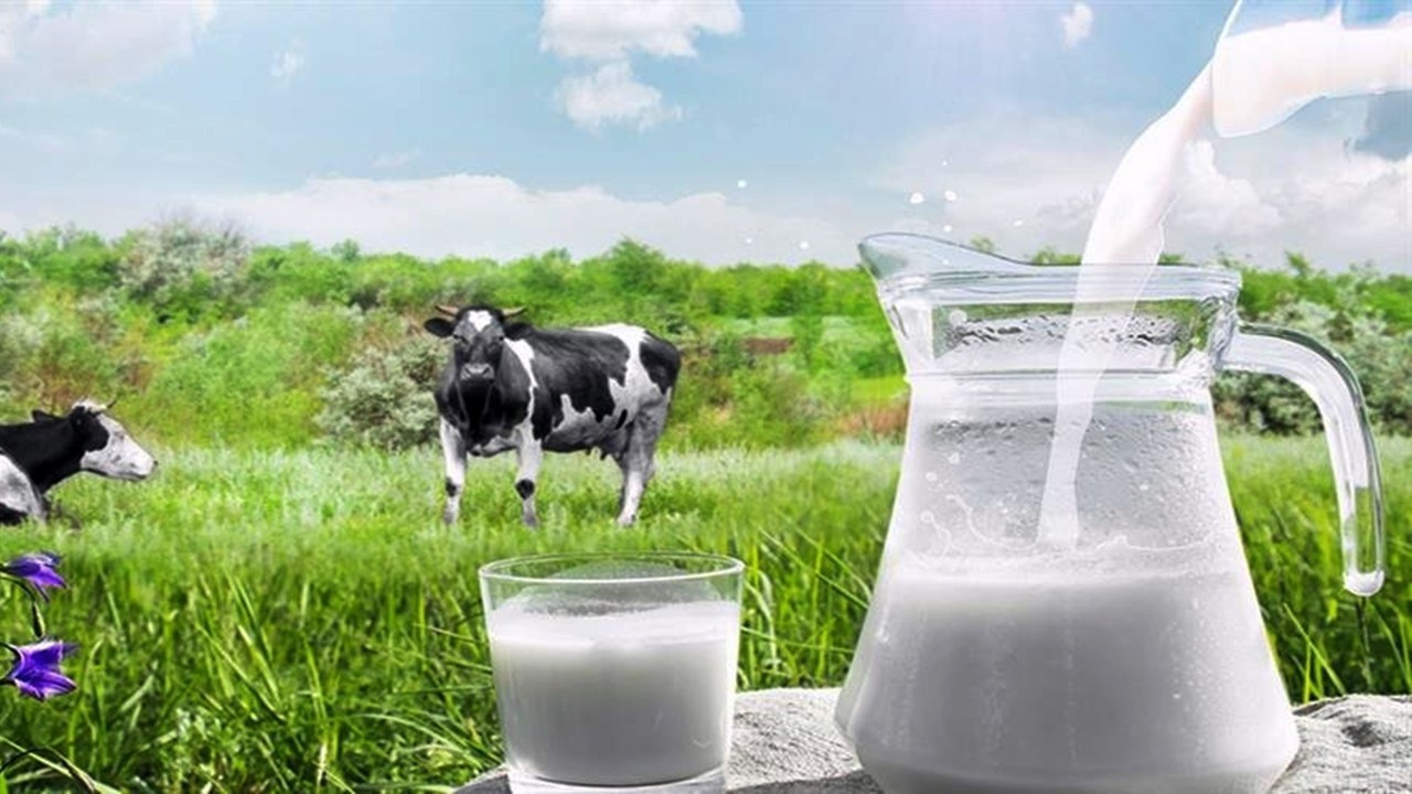 Süt maliyeti hesaplamasında karışıklık oldu! Çiğ sütün fiyatı ne kadar?