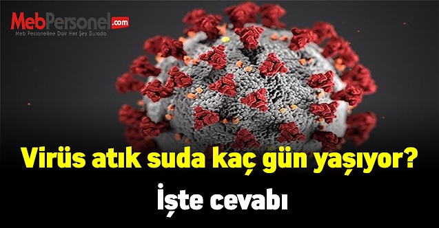 Virüs atık suda kaç gün yaşıyor? İşte cevabı