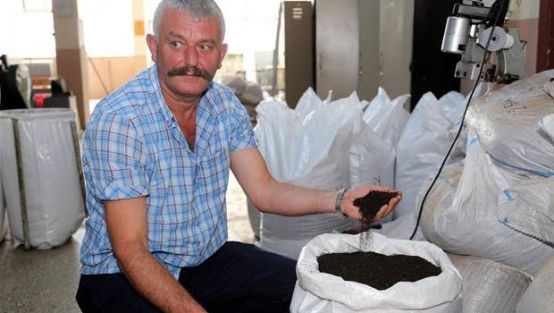 Okulda kuru çay üretip satıyorlar