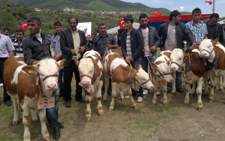 Posof'ta 19 Mayıs coşkusu