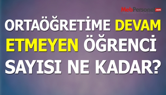 Orta Öğretime Devam Etmeyen Öğrenci Sayısı