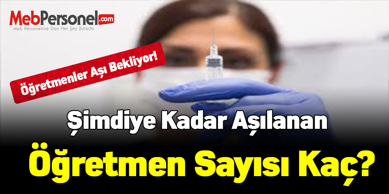 Şimdiye kadar aşılanan öğretmen sayısı kaç?